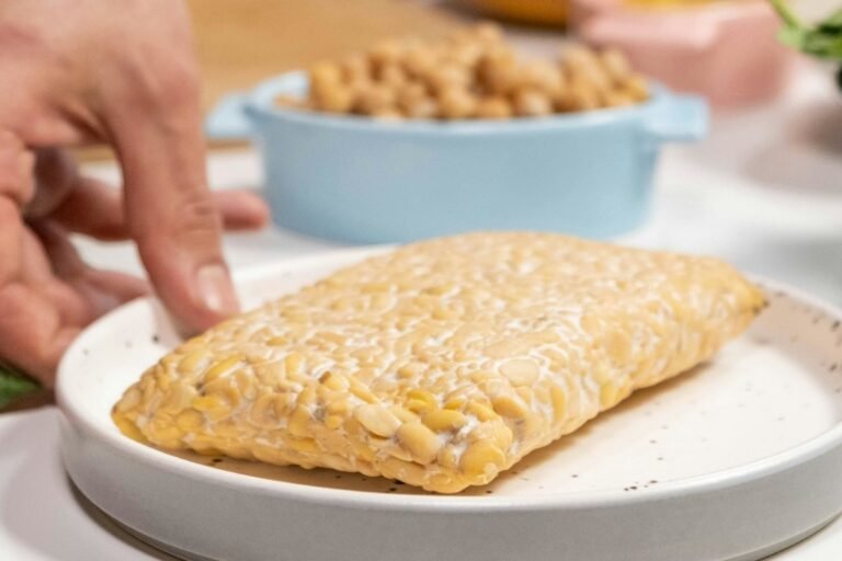 Pastel de tempeh elaborado con habas de soja