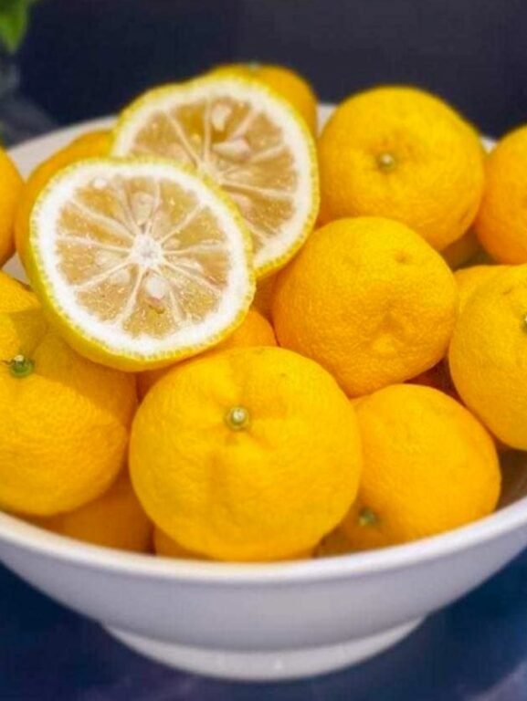 Piezas de la fruta yuzu enteras y cortadas por la mitad en un frutero