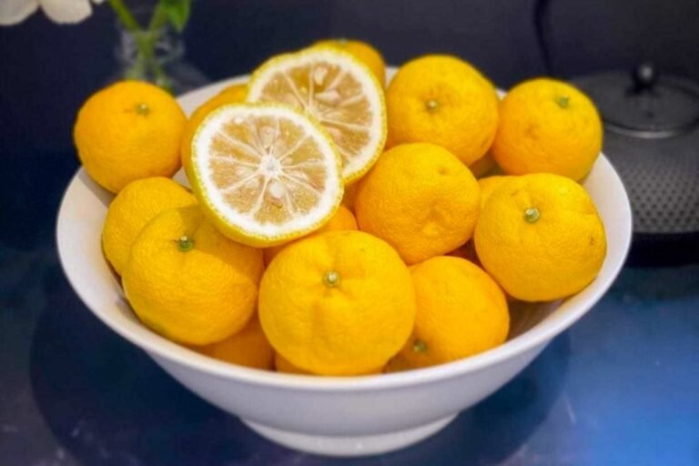 Piezas de la fruta yuzu enteras y cortadas por la mitad en un frutero